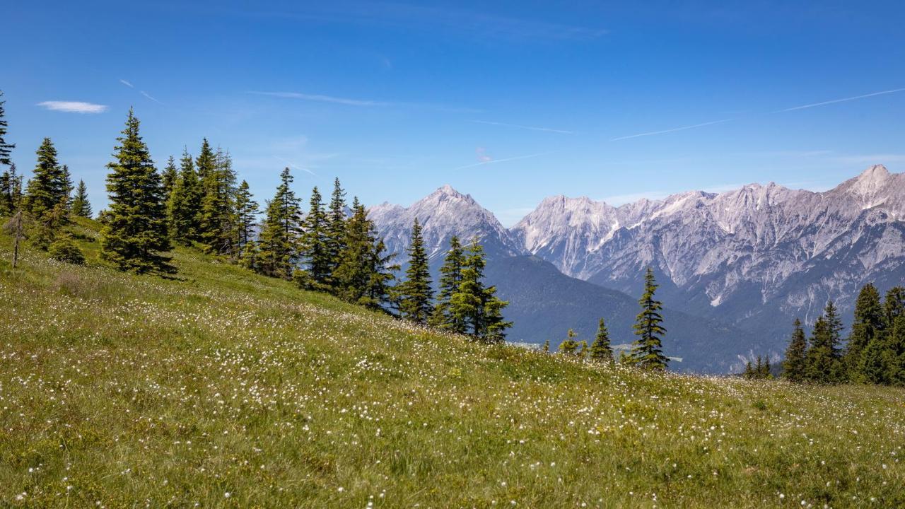 Hotel Almhof Hochfugen Bagian luar foto